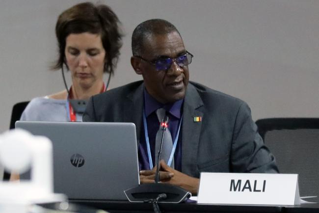 Allassane Ba, Environment and Sustainable Development Agency, Mali