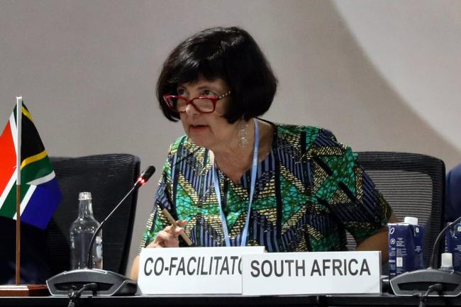 Barbara Creecy, Minister of Environment, Forestry and Fisheries, South Africa
