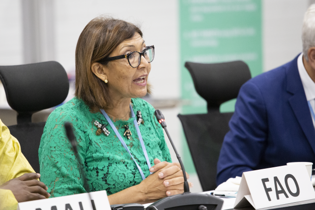 Maria Helena Semedo, Deputy Director-General, FAO