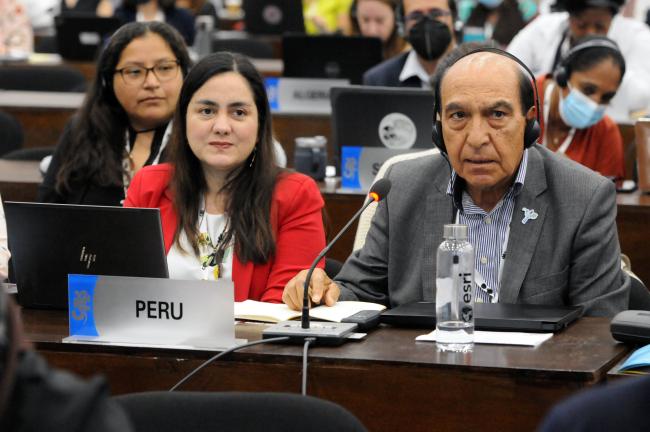 Fabiola Núñez Neyra and Enrique Luis Schwartz Arias, Peru