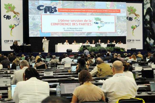 Delegates during the address made by Janaina Tewaney Mencomo, Minister of Foreign Affairs, Panama
