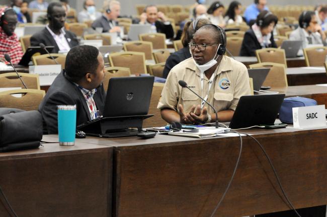 George Wambura and Nunes Mazivile, Southern African Development Community (SADC)