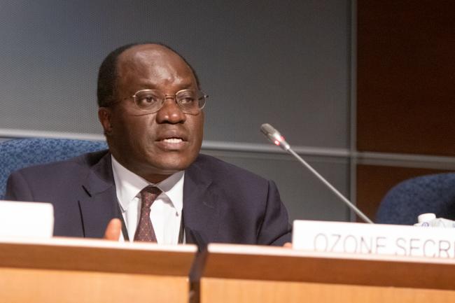 Gilbert Bankobeza, Ozone Secretariat