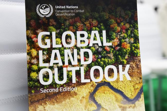 Global Land Outlook -  Ecosystem Restoration, RCP COP27 - 9 Nov 2022 - Photo