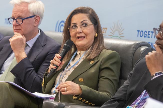Hala El-Said, Minister of Planning and Economic Development, Egypt