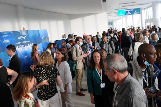 Delegates enjoy a happy hour