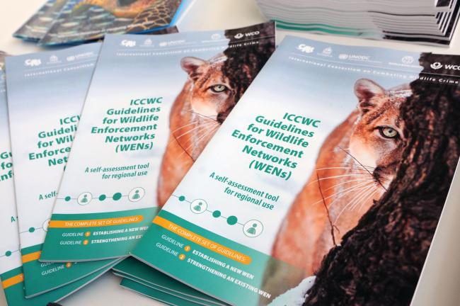 ICCWC Guidelines for WENs