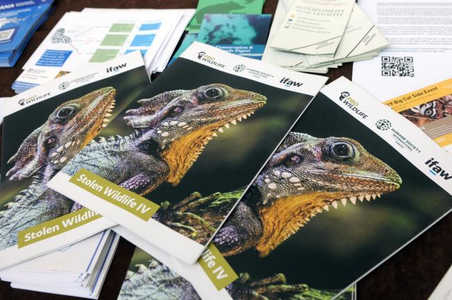 IFAW publication