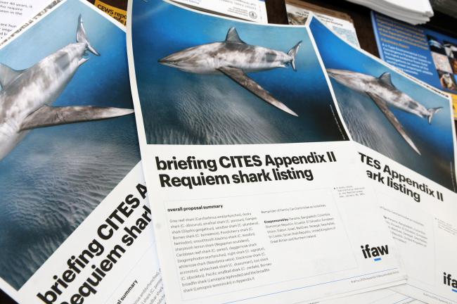 IFAW publication