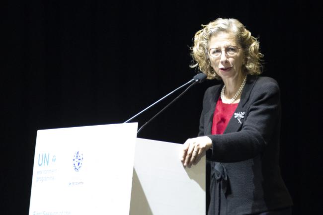 Inger Andersen, the Executive Director of the United Nations Environment Programme (UNEP) -INC-1-Plastic-28Nov-Photo