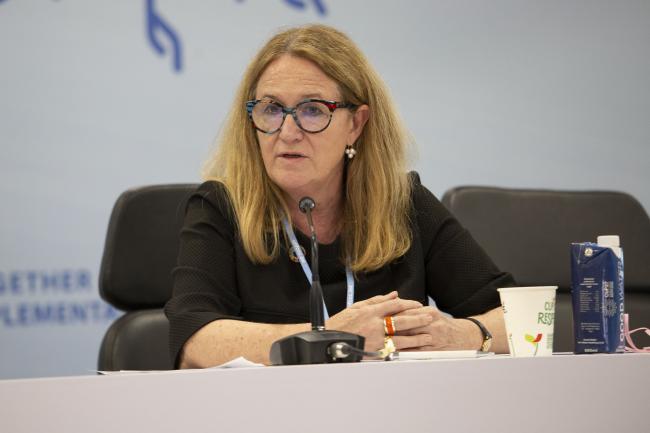 Ingrid-Gabriela Hoven, GIZ