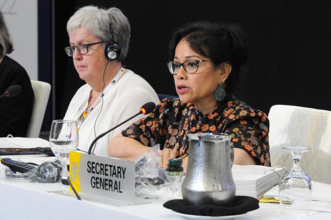 Ivonne Higuero, Secretary-General, CITES