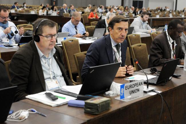 Jan Plesnik and Jorge Rodríguez Romero, EU