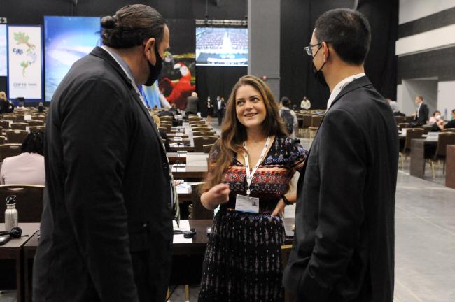 John Veremis, US; Michelle Anagnostou and Jean-Francois Dubois, Canada