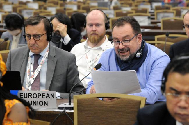 Jorge Rodríguez Romero and Federico Castrogiovanni, EU