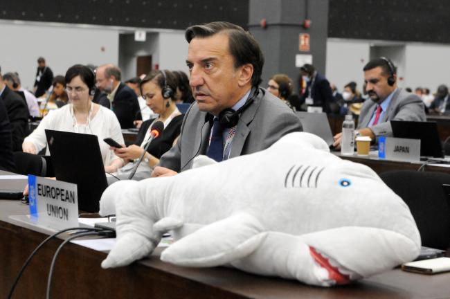 Jorge Rodríguez Romero, EU