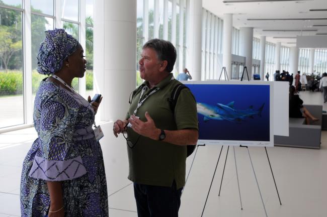 Kate Majella Bridget Karemo-Garnett, Sierra Leone, and Robert Garner, ForestBased Solutions, Llc