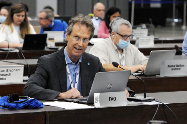 Kim Friedman, FAO