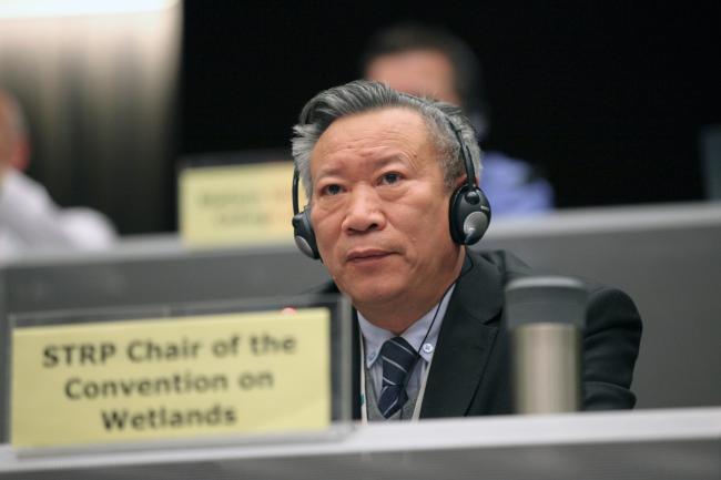 Lei Guangchun, Chair, Scientific and Technical Review Panel 