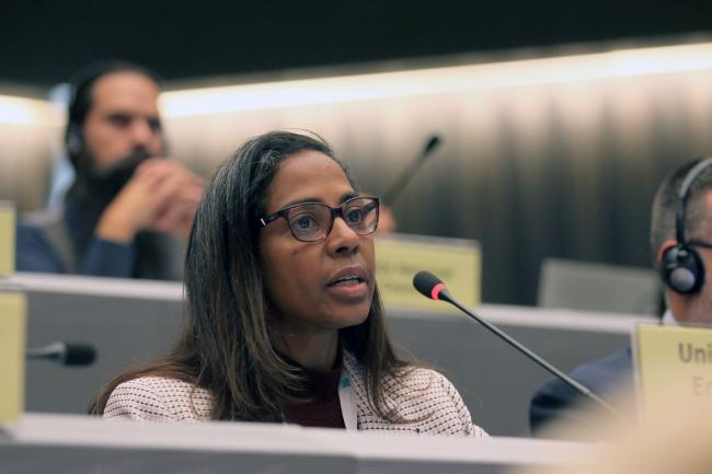 Leticia Reis De Carvalho, UN Environment Programme