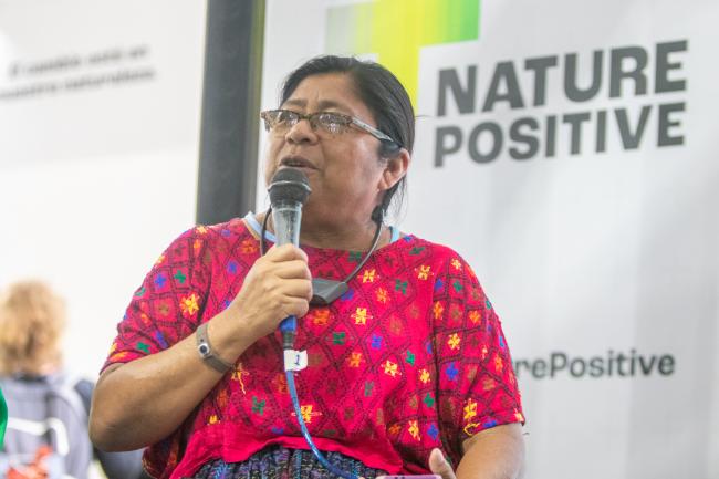 Lola Cabnal, Asociación Ak’Tenamit
