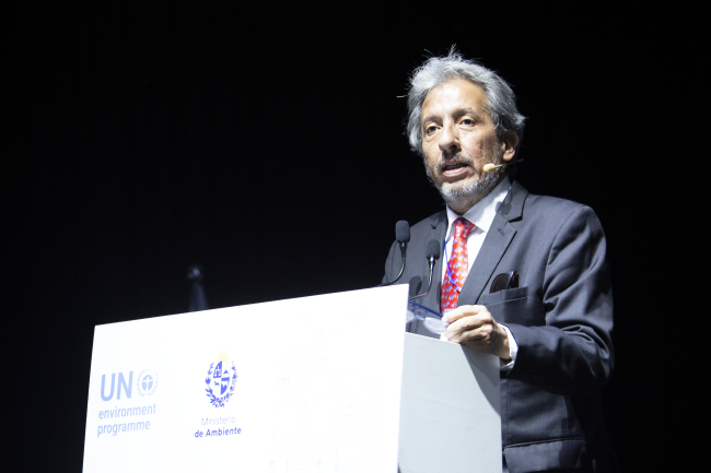 Manuel Pulgar Vidal, Ambassador of the Climate Action Agenda and Champion of the CBD Action Agenda