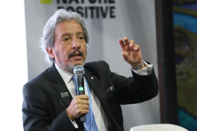 Manuel Pulgar Vidal, Global Leader of Climate & Energy, WWF