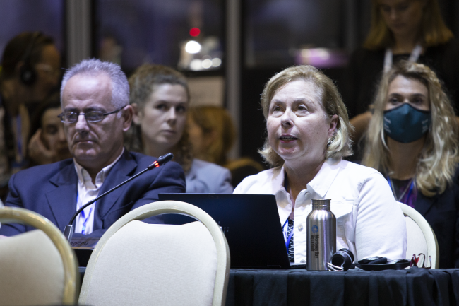 Margaret Sprimh, International Science Council