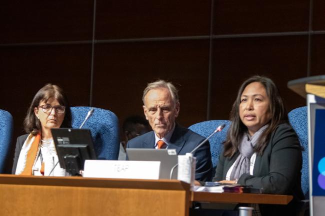 Marta Pizano, Ian Porter, Bella Maranion