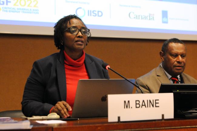 Mary Baine, Deputy Executive Secretary, African Tax Administration Forum (ATAF)