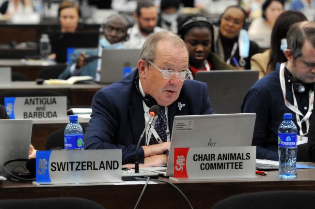 Mathias Lörtscher, Chair of the Animals Committee