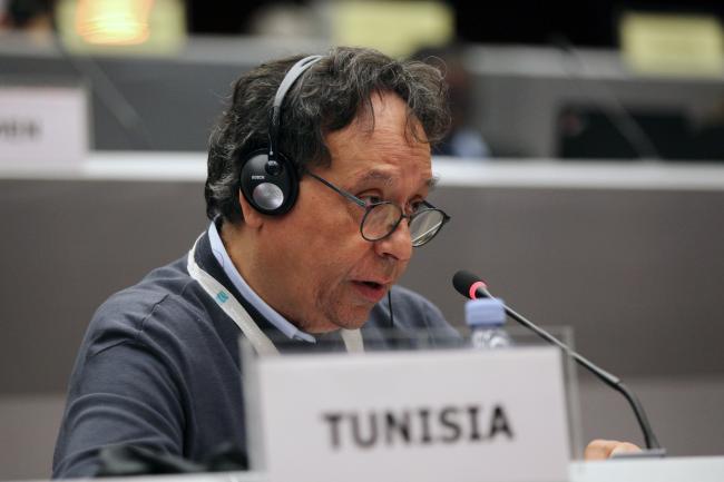Mohamed Boufaroua, Tunisia