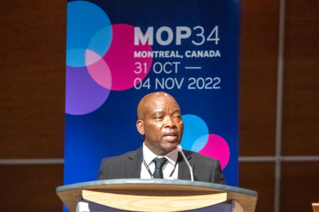 Moses Malindane Vilakati, Eswatini