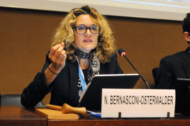 Nathalie Bernasconi-Osterwalder, Executive Director, IISD Europe