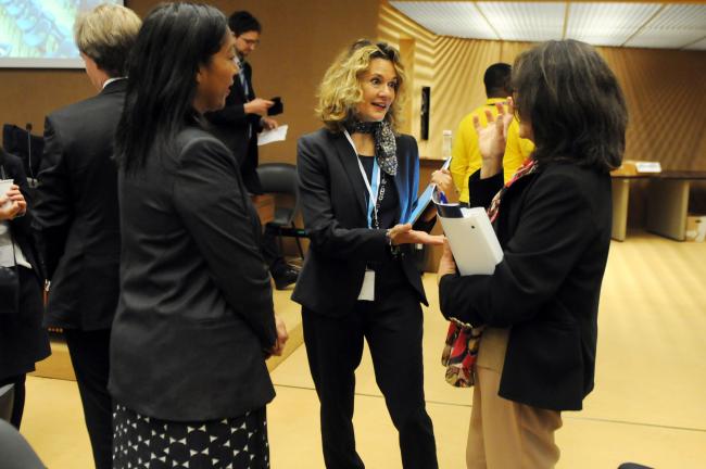 Nathalie Bernasconi-Osterwalder, IISD Europe, in informal consulations