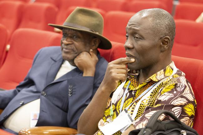 Observers - The Land Gap Report Side Event COP27 - 11 Nov 2022 - Photo