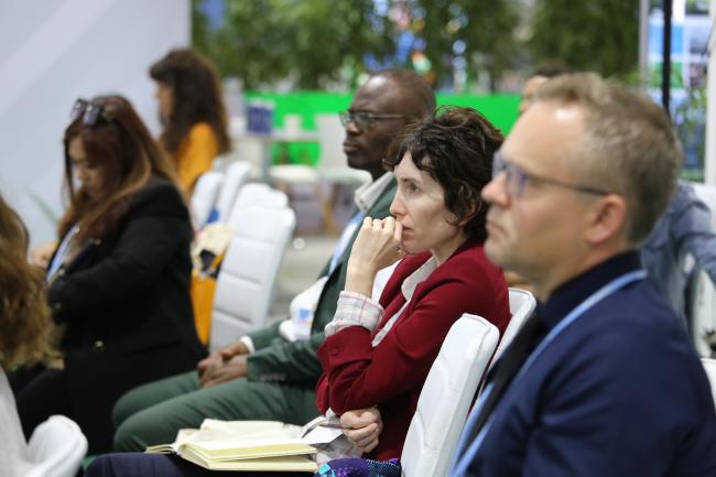Observers during Side Event on Ecosystem Restoration
