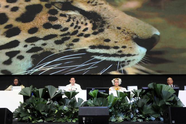 The dais during the opening ceremony