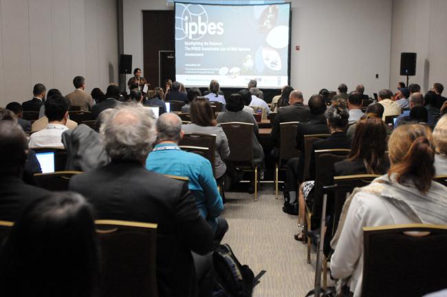 Participants during the IPBES side event