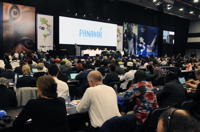 Participants listen to the remarks from Milciades Concepción, Minister of Environment, Panama