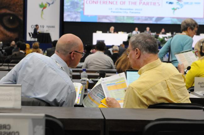 Participants look at the daily programme