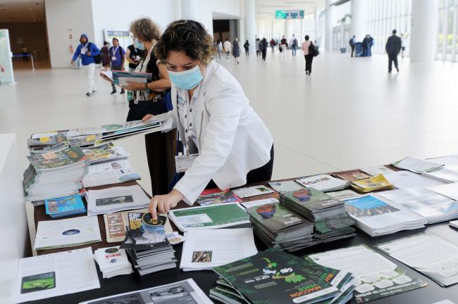 Participants check publications available at the venue