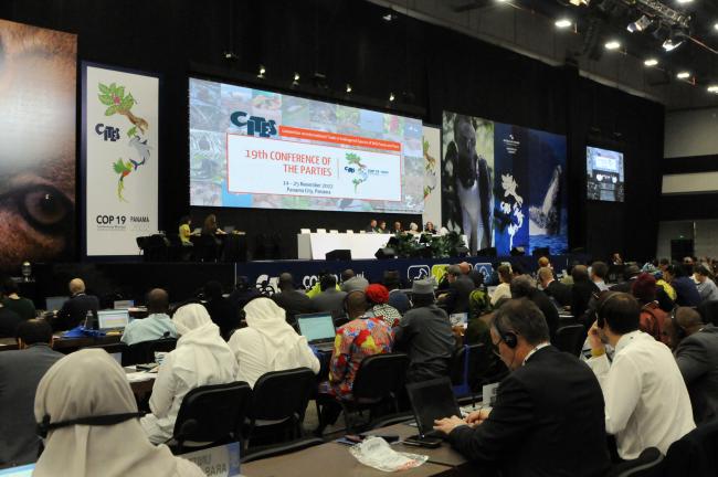 Plenary