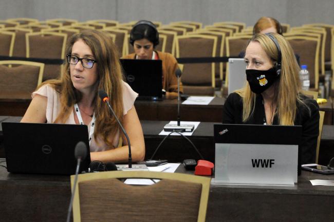 Renata Cao and Margaret Kinnaird, WWF