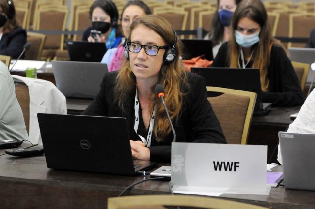 Renata Cao, WWF