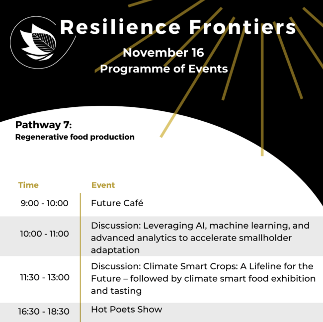 Resilience Frontiers Pavilion agenda 16 November