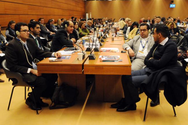 The delegation from Saudi Arabia during the discussion