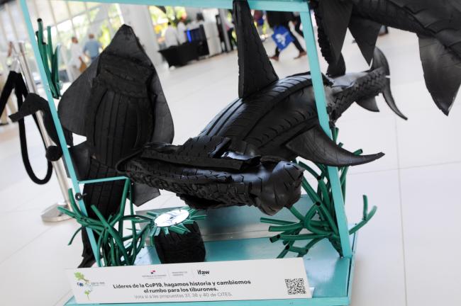 Sharks