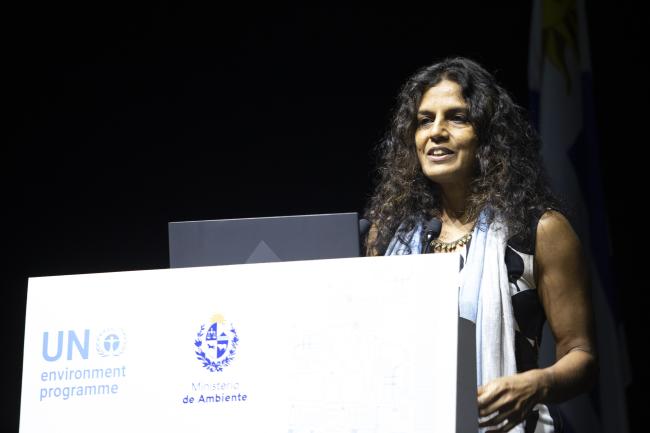 Sheila Aggarwal-Khan, Director Economy Division, UNEP-INC-1-Plastic-26Nov-Photo