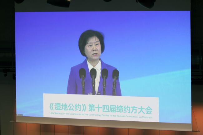 Shen Yueyue, Vice-Chairman of the Standing Committee of the National People’s Congress of the People’s Republic of China 